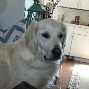 Meet your Posher, Wanda